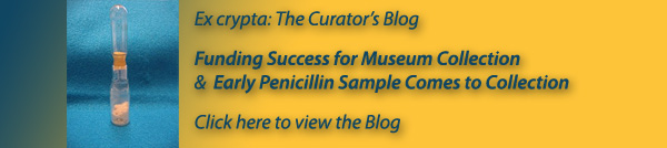 Curators Blog Banner